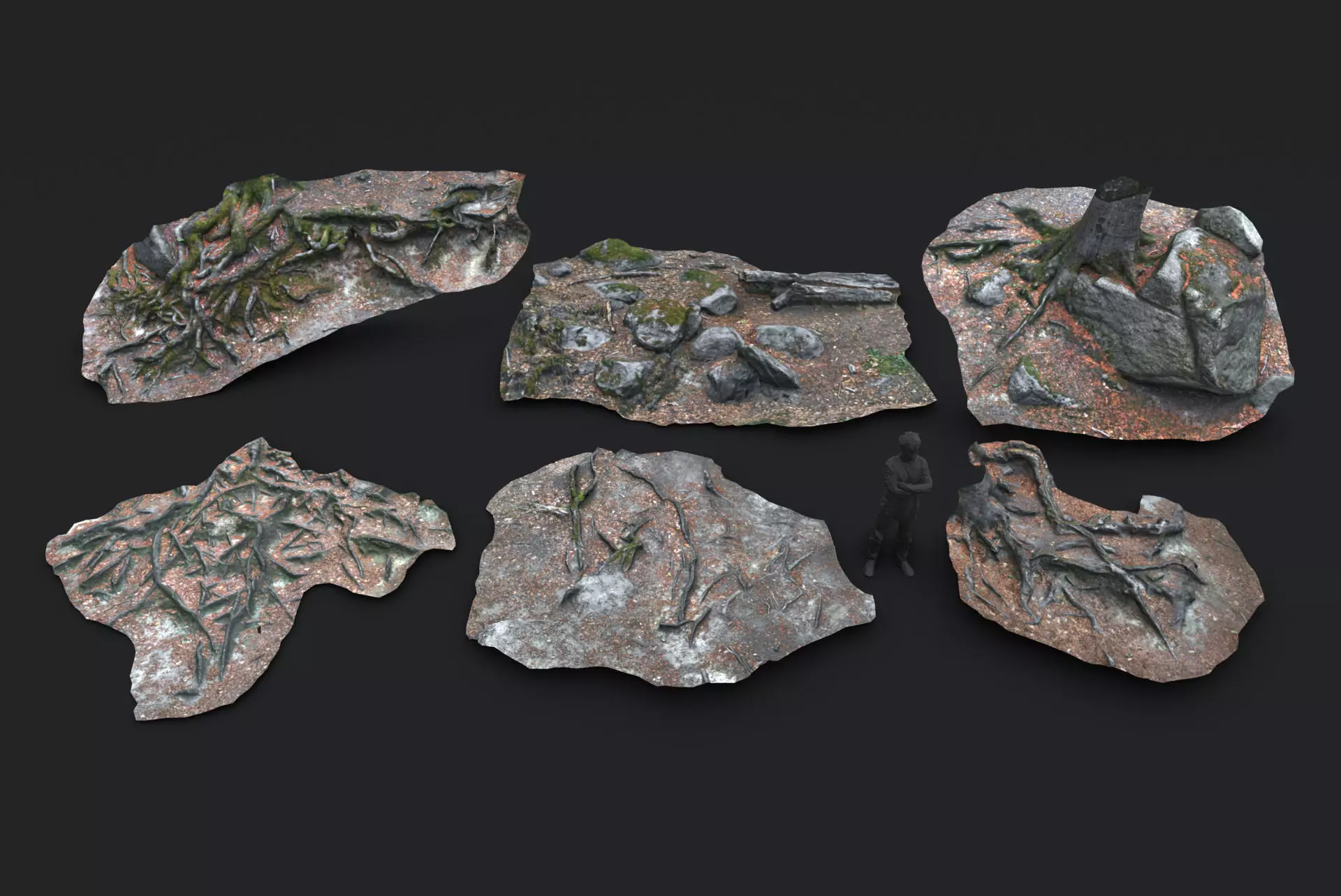 Beech forest ground modules - lwpoly PBR Game ready 3D Model Collection_0