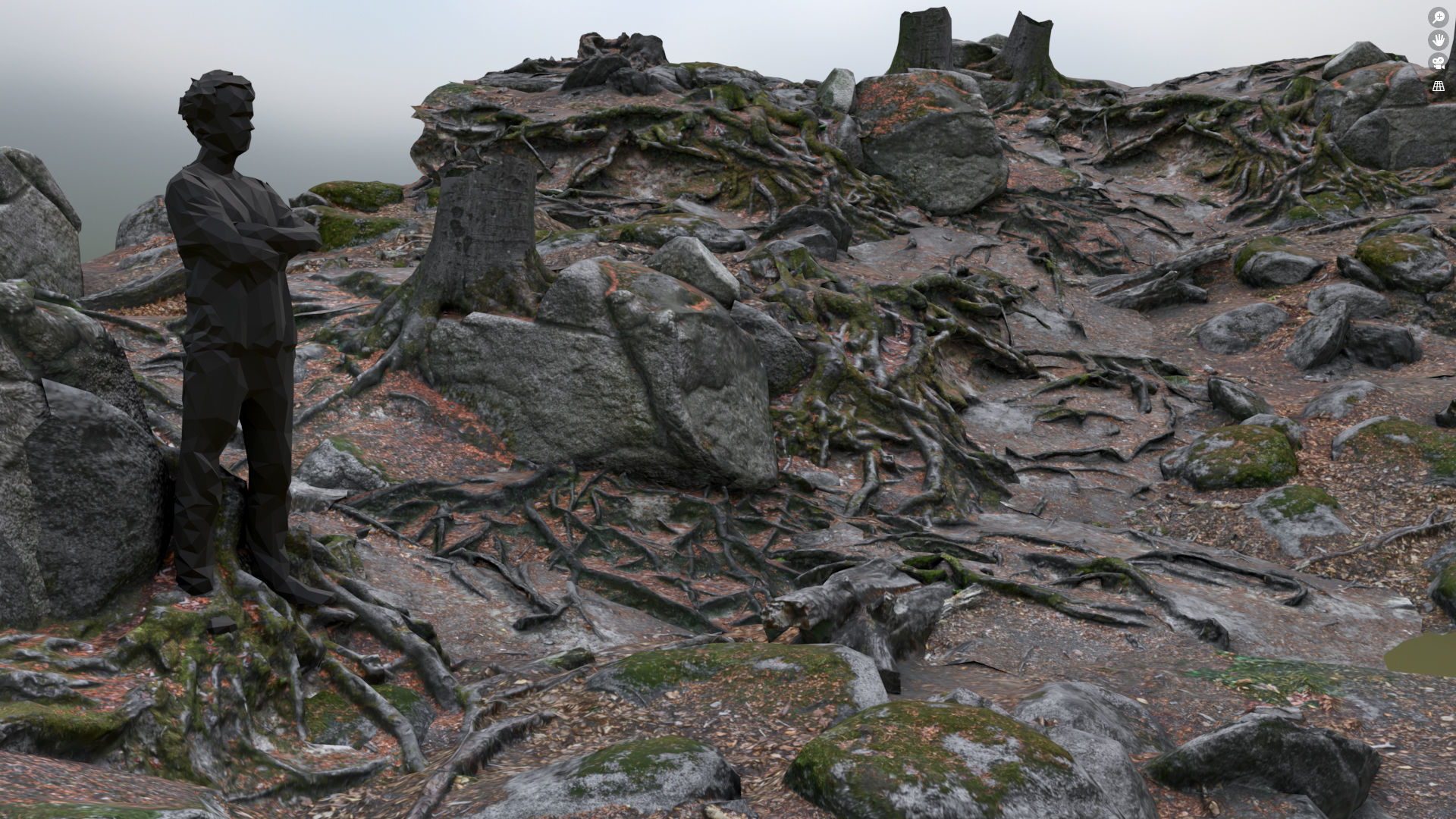 Beech forest ground modules - lwpoly PBR Game ready 3D Model Collection_6