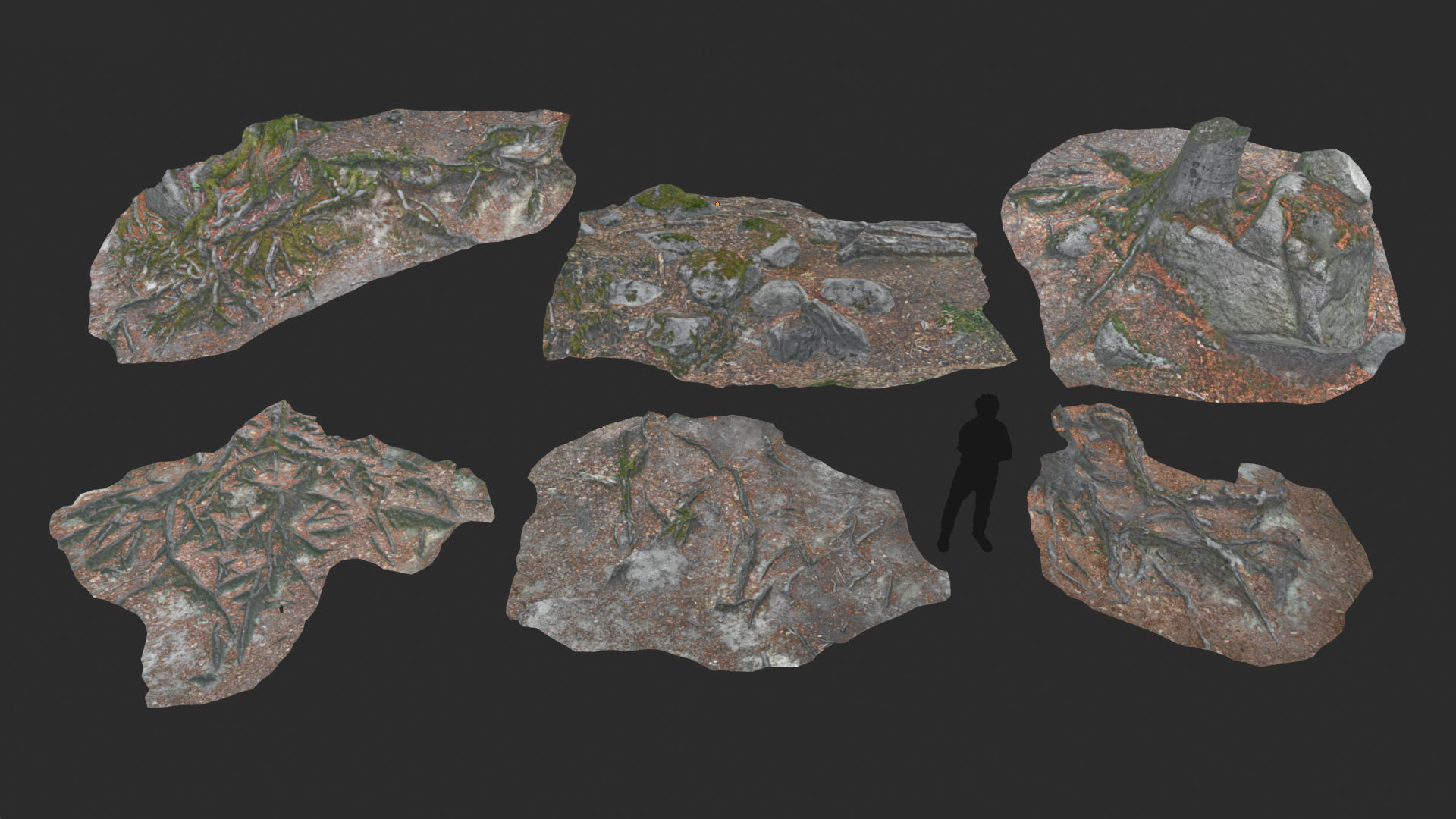 Beech forest ground modules - lwpoly PBR Game ready 3D Model Collection_3