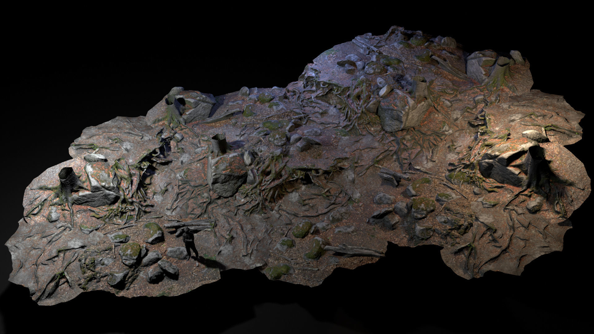 Beech forest ground modules - lwpoly PBR Game ready 3D Model Collection_8