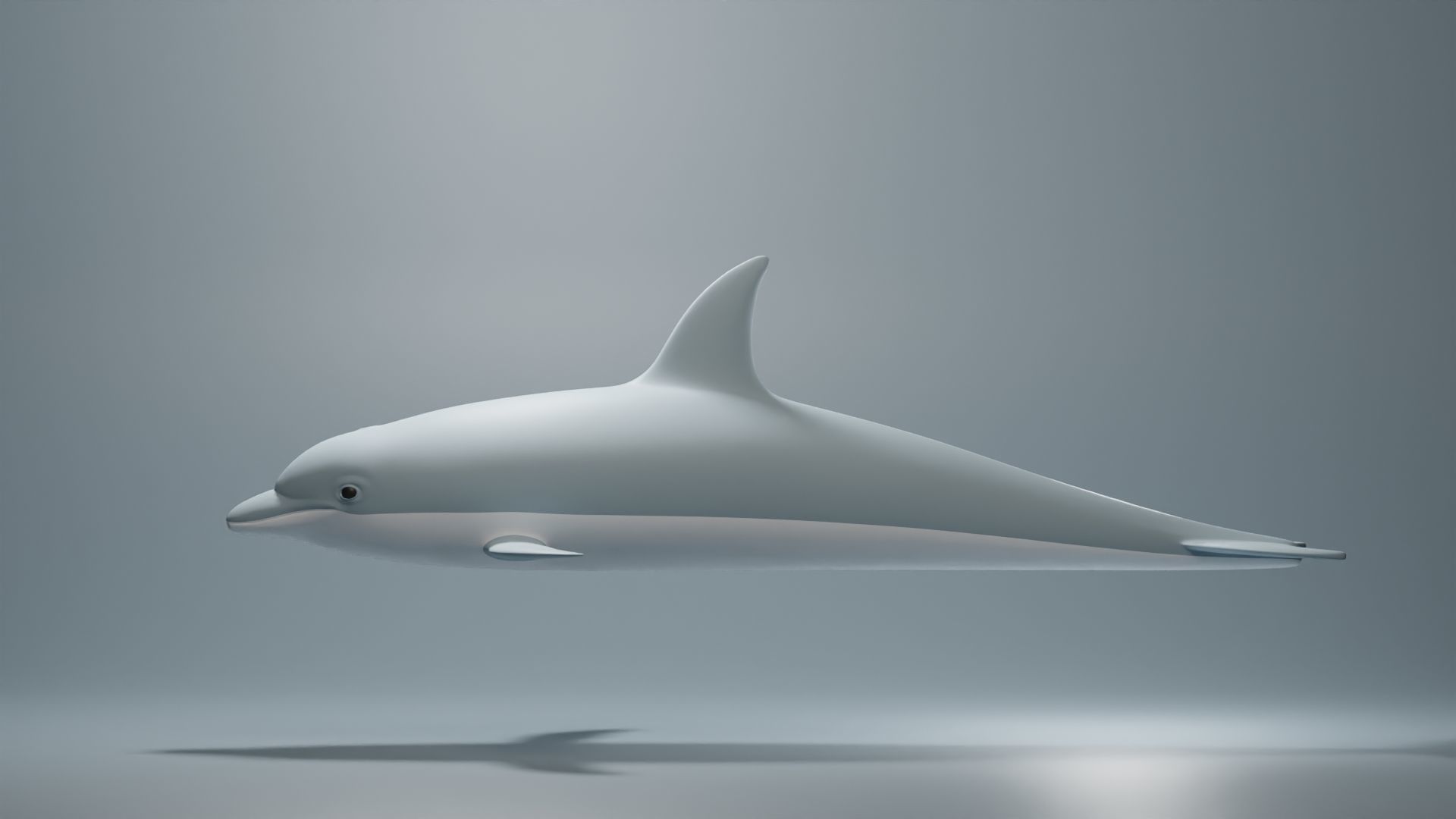 Dolphin Base Mesh Low-poly 3D model_5