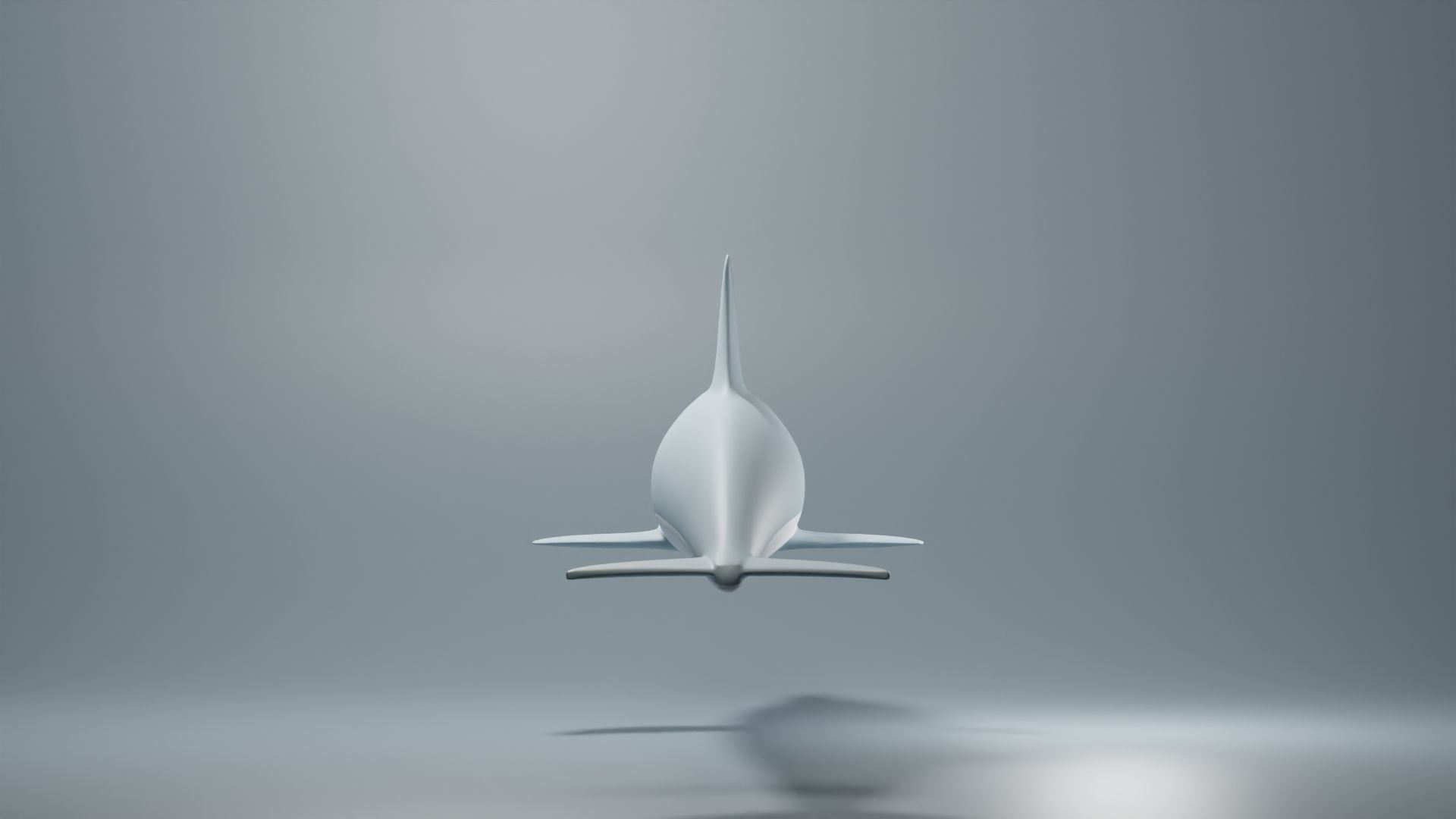 Dolphin Base Mesh Low-poly 3D model_4