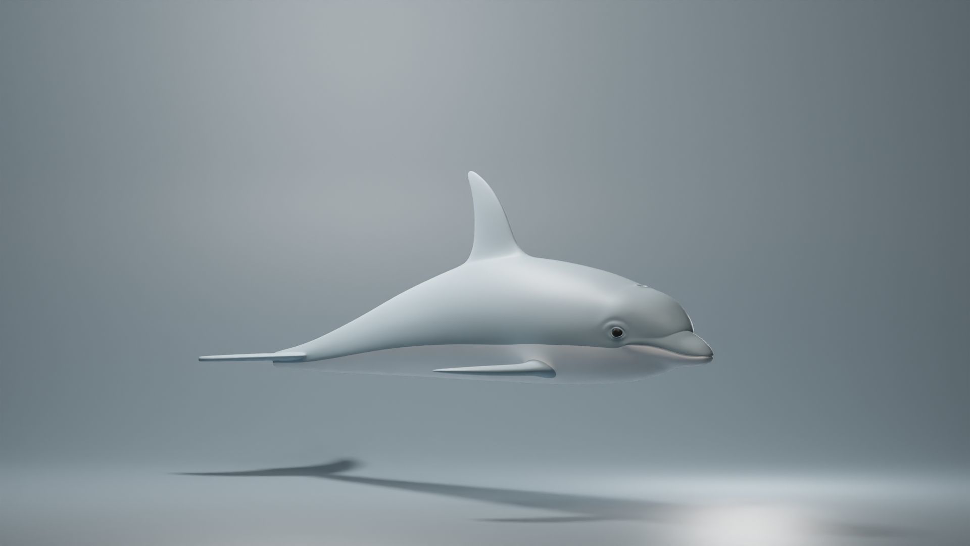 Dolphin Base Mesh Low-poly 3D model_1