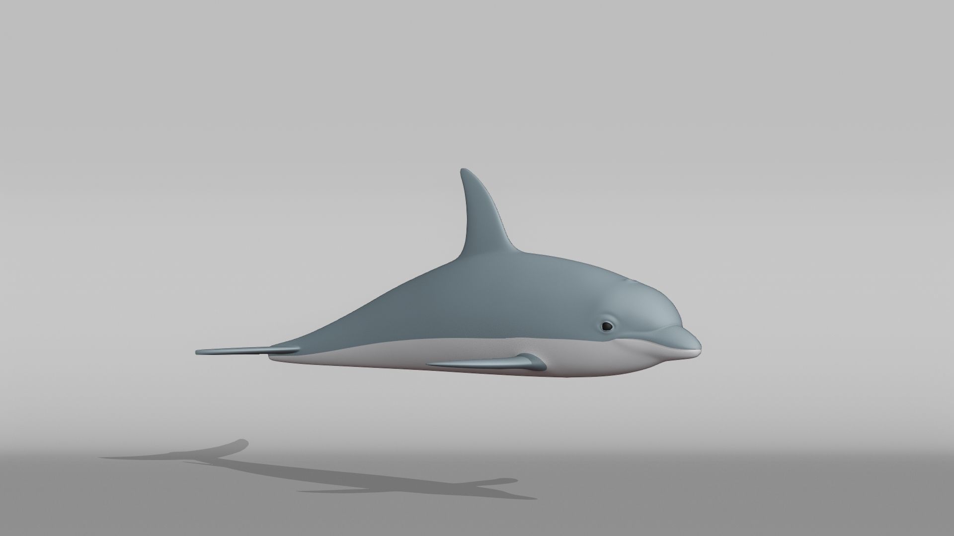 Dolphin Base Mesh Low-poly 3D model_6