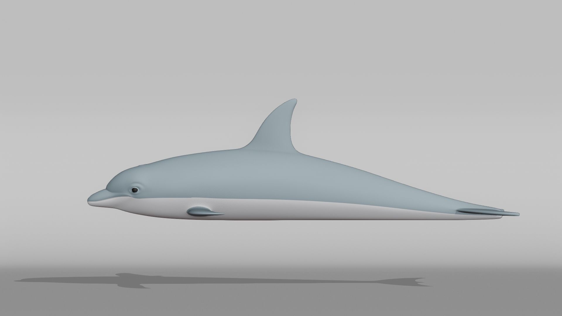Dolphin Base Mesh Low-poly 3D model_10