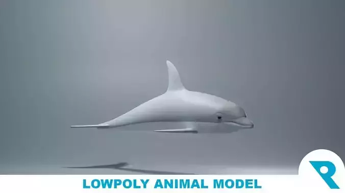 Dolphin Base Mesh Low-poly 3D model