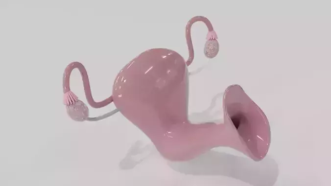 Vagina 3d medical model 3D model