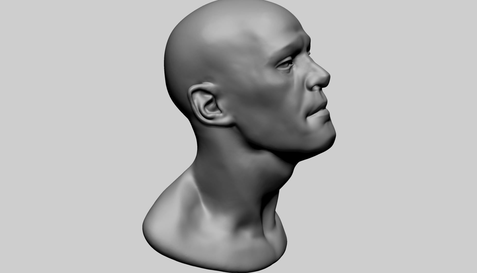 Base Male Head F 3D model_2