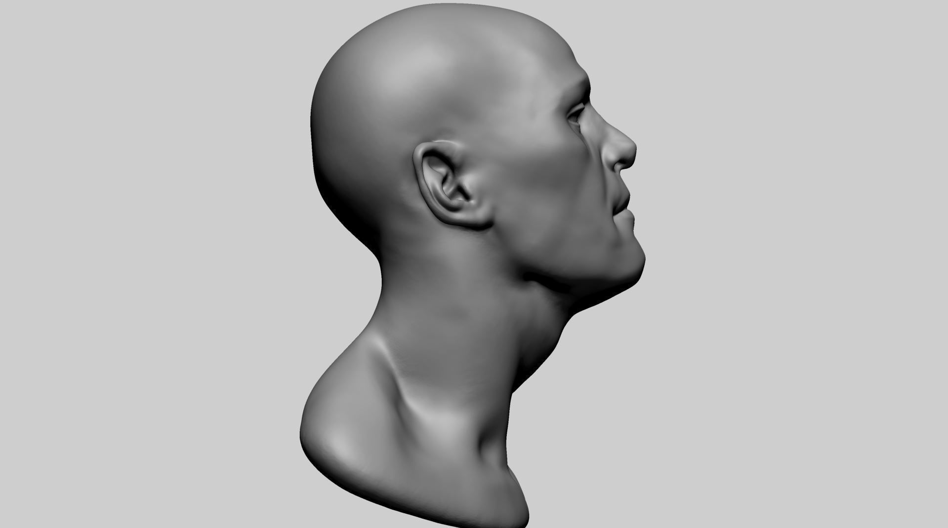 Base Male Head F 3D model_3