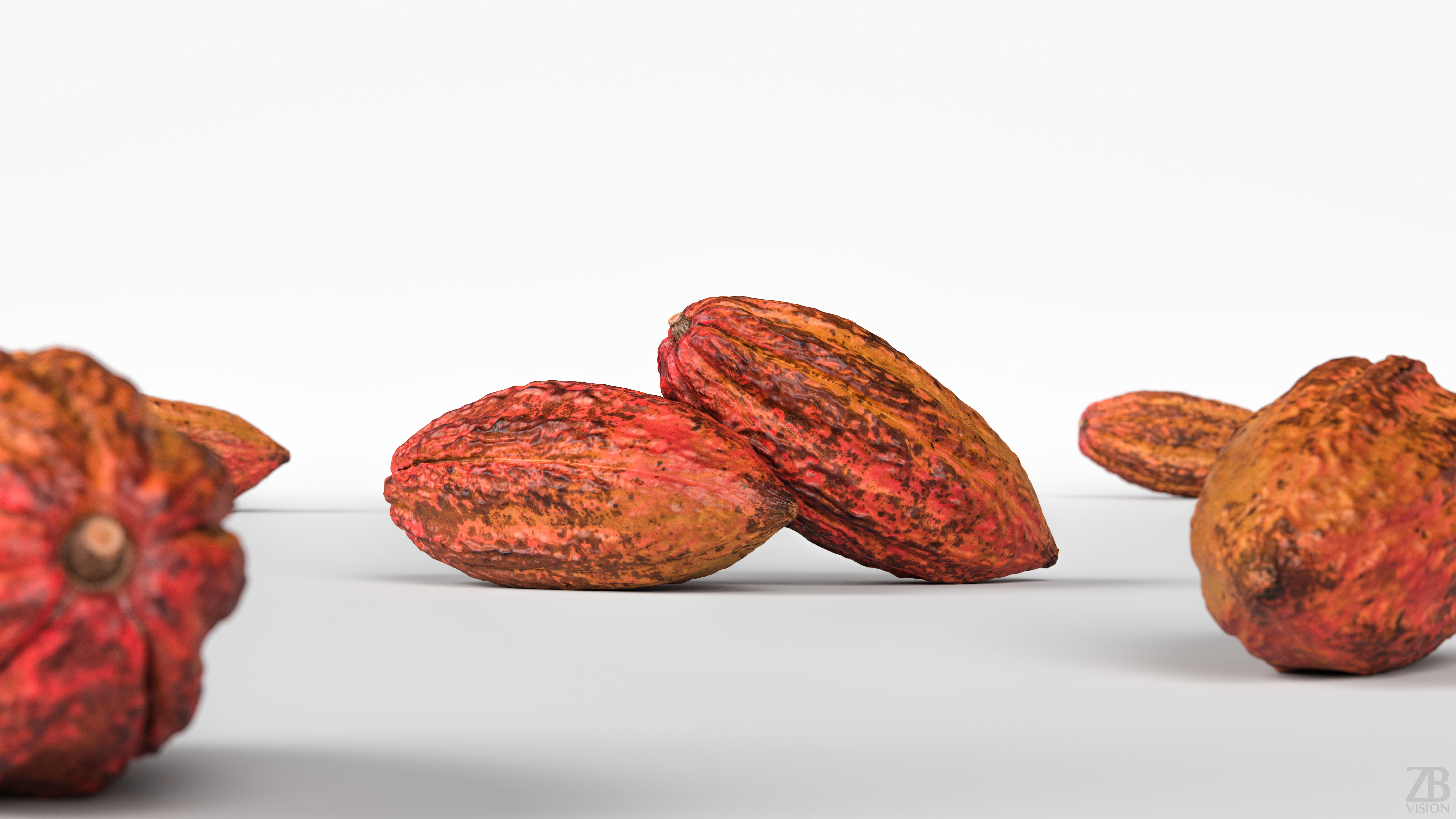 Cocoa Pod 3D model_1