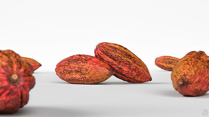 Cocoa Pod 3D model 2
