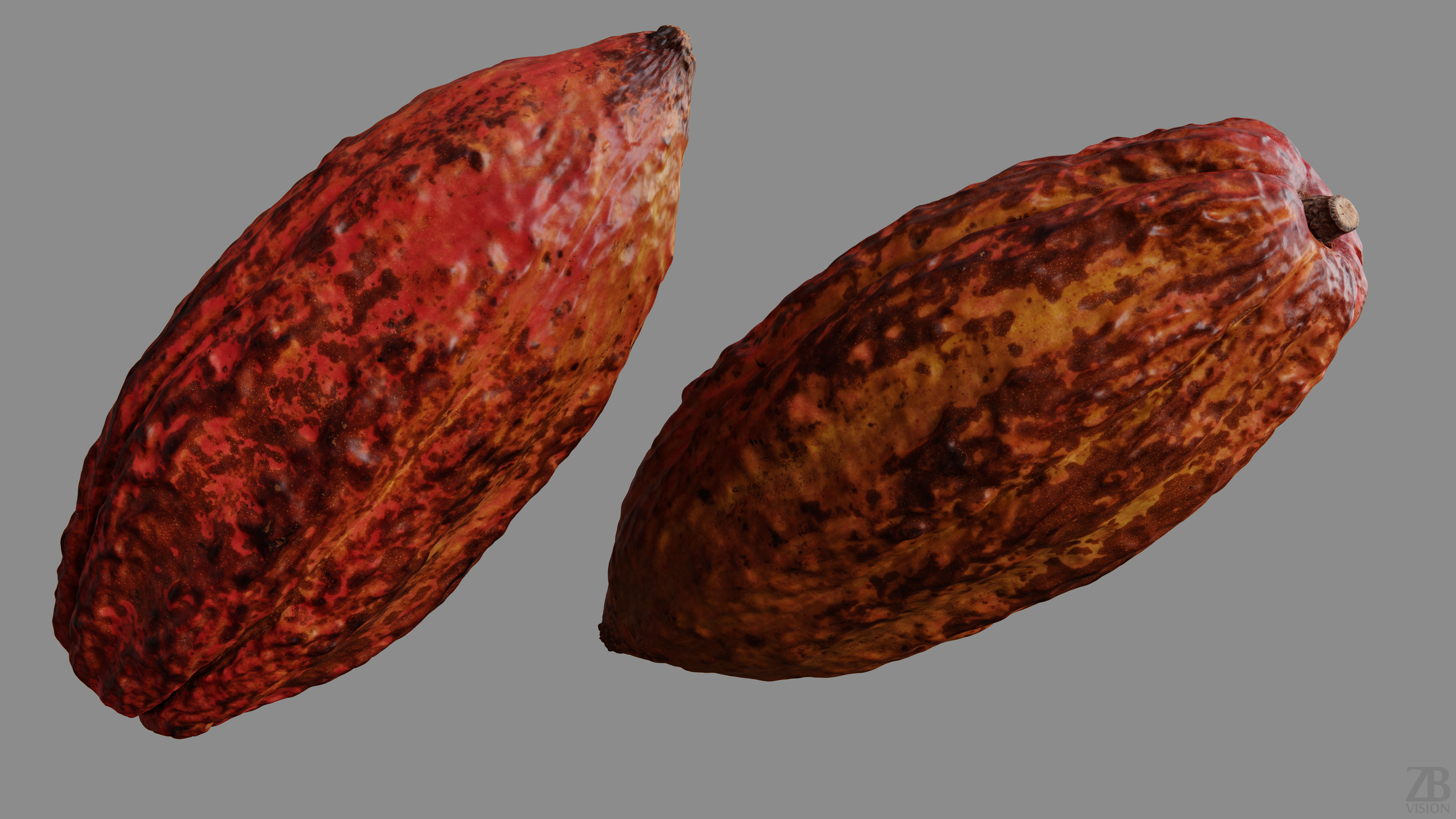 Cocoa Pod 3D model_9