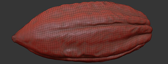Cocoa Pod 3D model 7