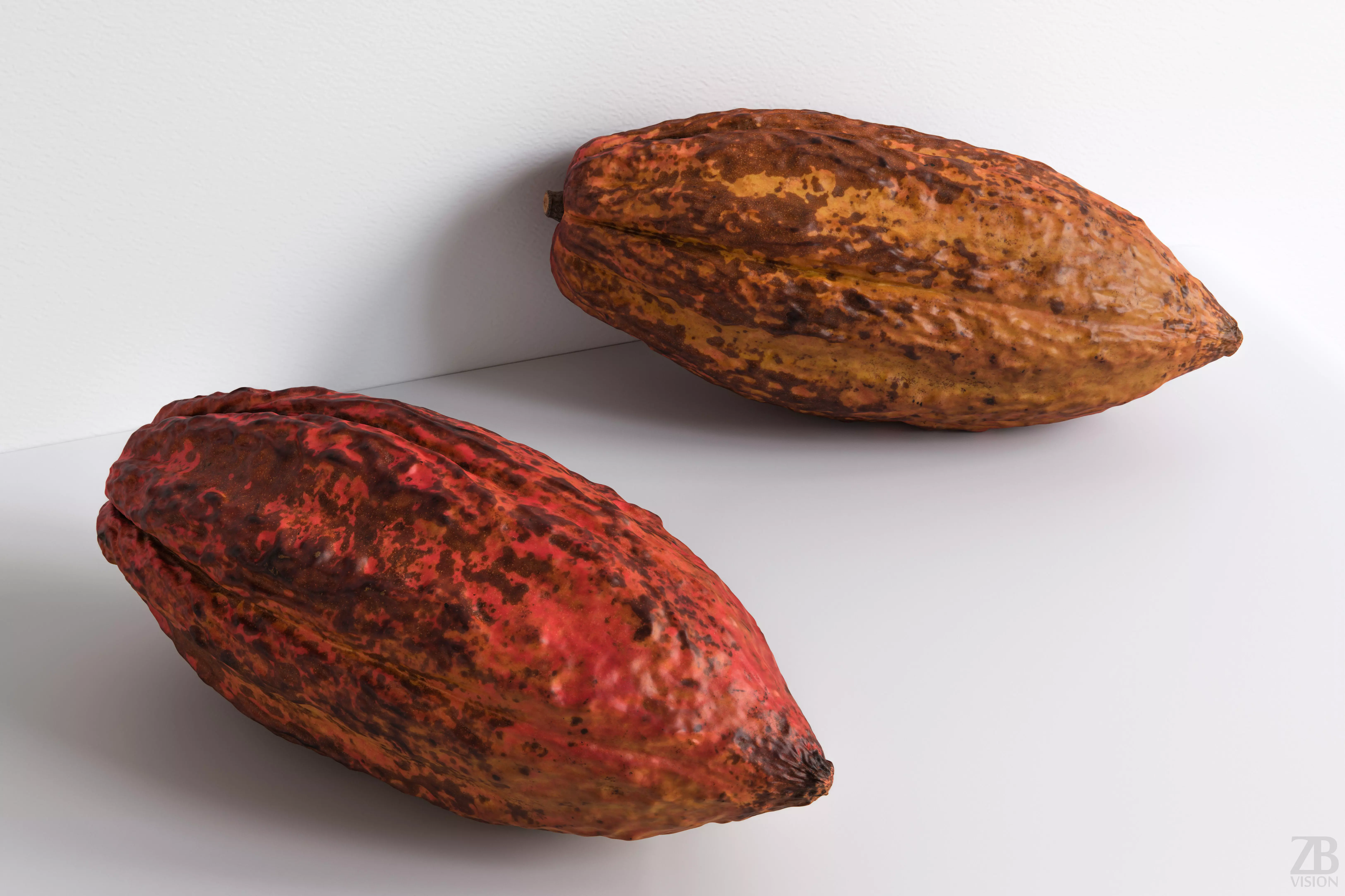 Cocoa Pod 3D model_0