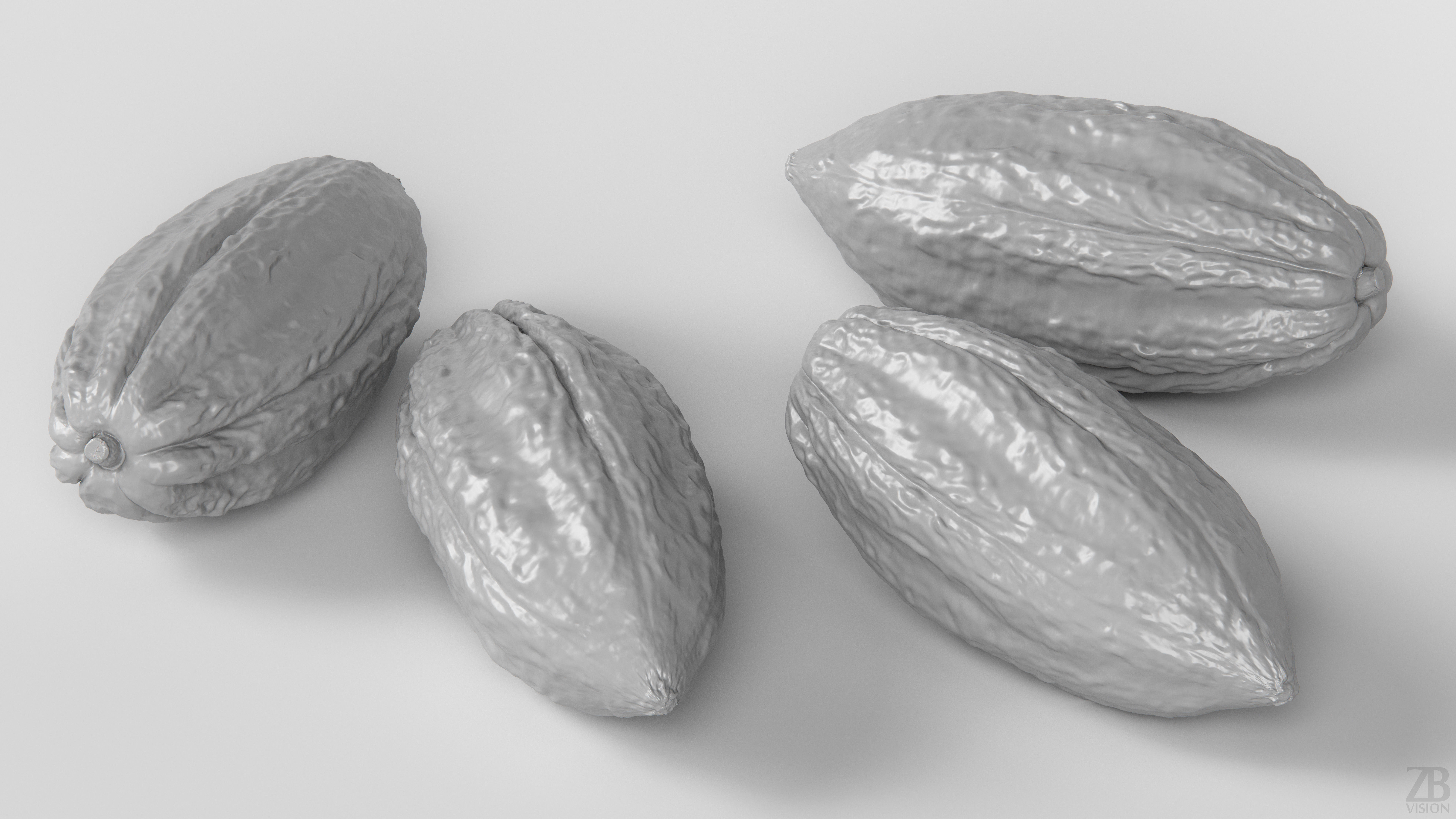 Cocoa Pod 3D model_3