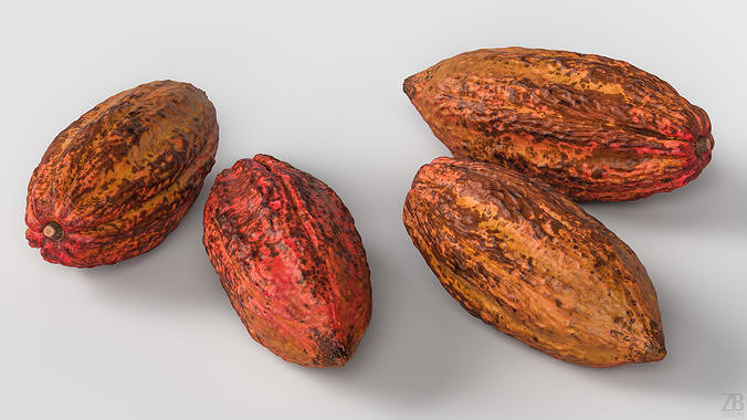 Cocoa Pod 3D model 3