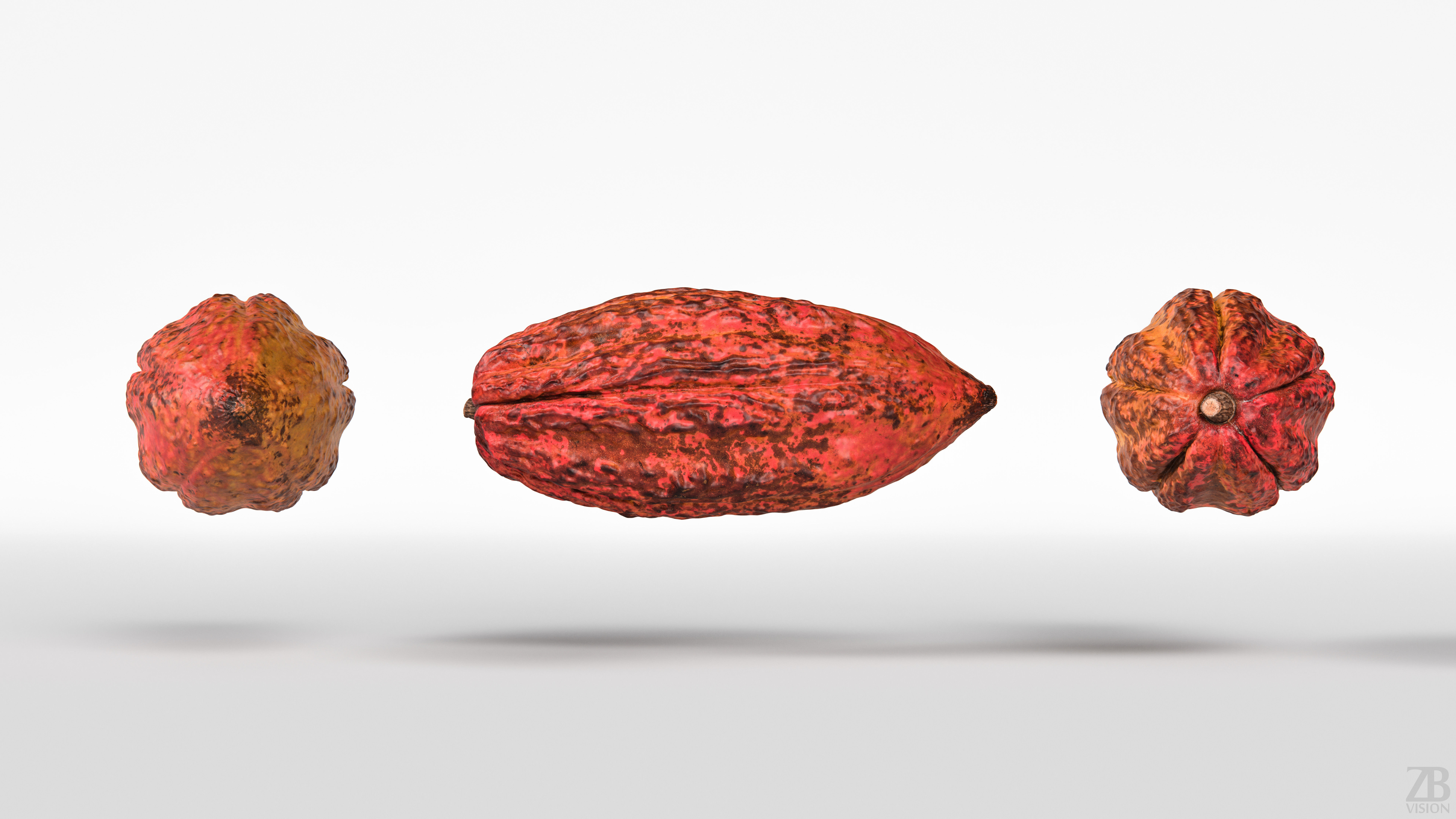 Cocoa Pod 3D model_4