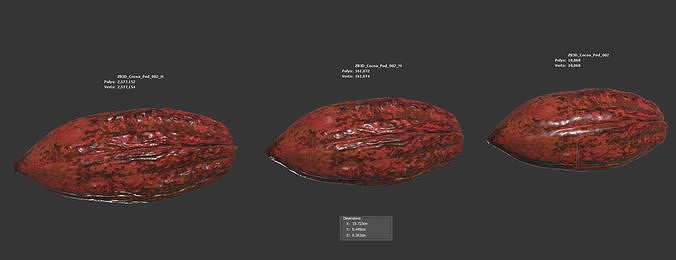 Cocoa Pod 3D model 6