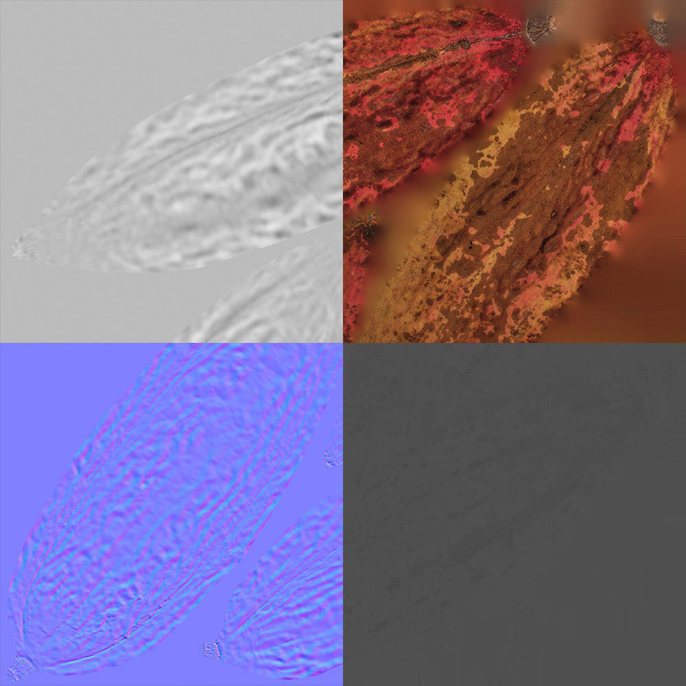 Cocoa Pod 3D model_8