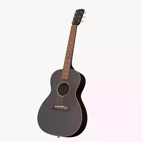 Acoustic Guitar