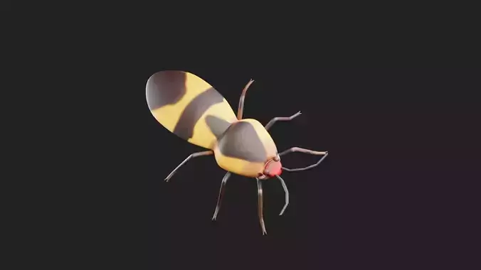 Bug 3D Model insect