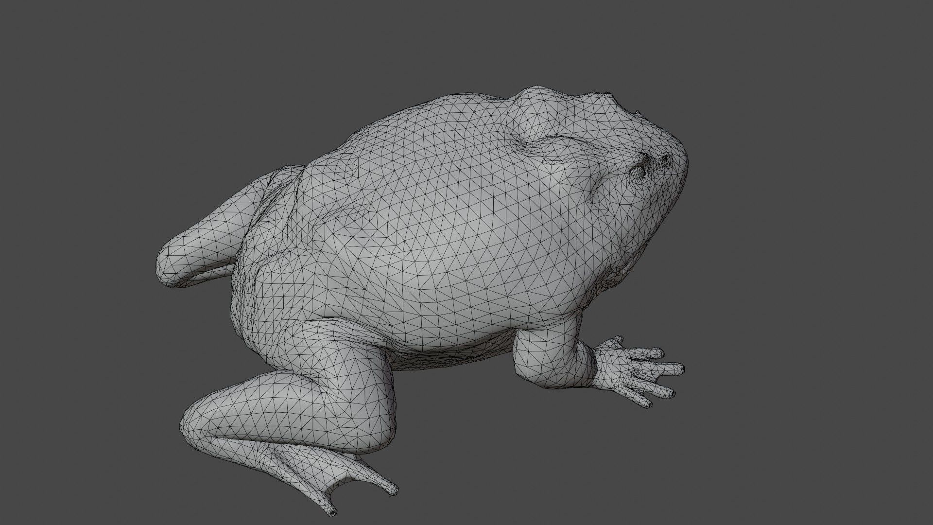 Toad Frog Low-poly 3D model_8