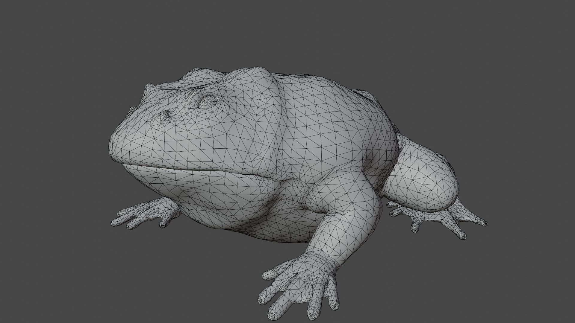 Toad Frog Low-poly 3D model_9