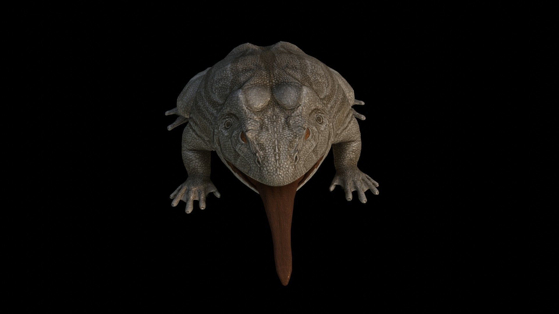 Toad Frog Low-poly 3D model_6