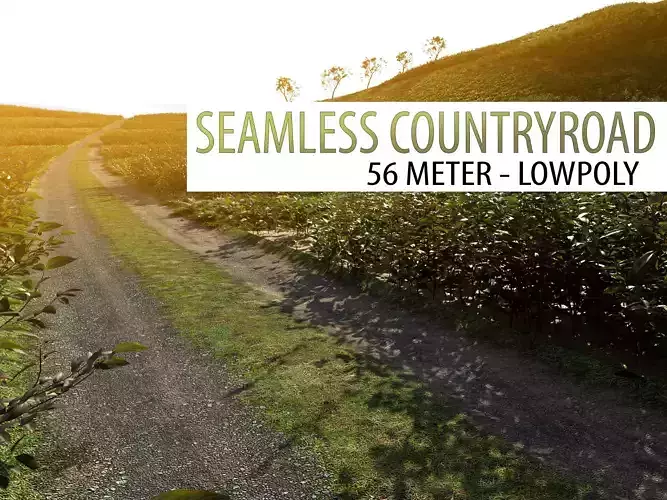 seamless countryroad - 56meter and lowpoly