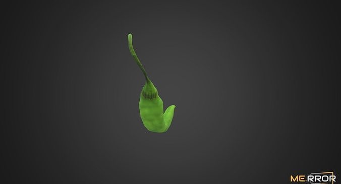 Green Pepper 3D model 2