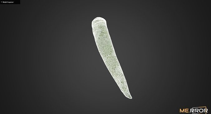 Green Pepper 3D model 7