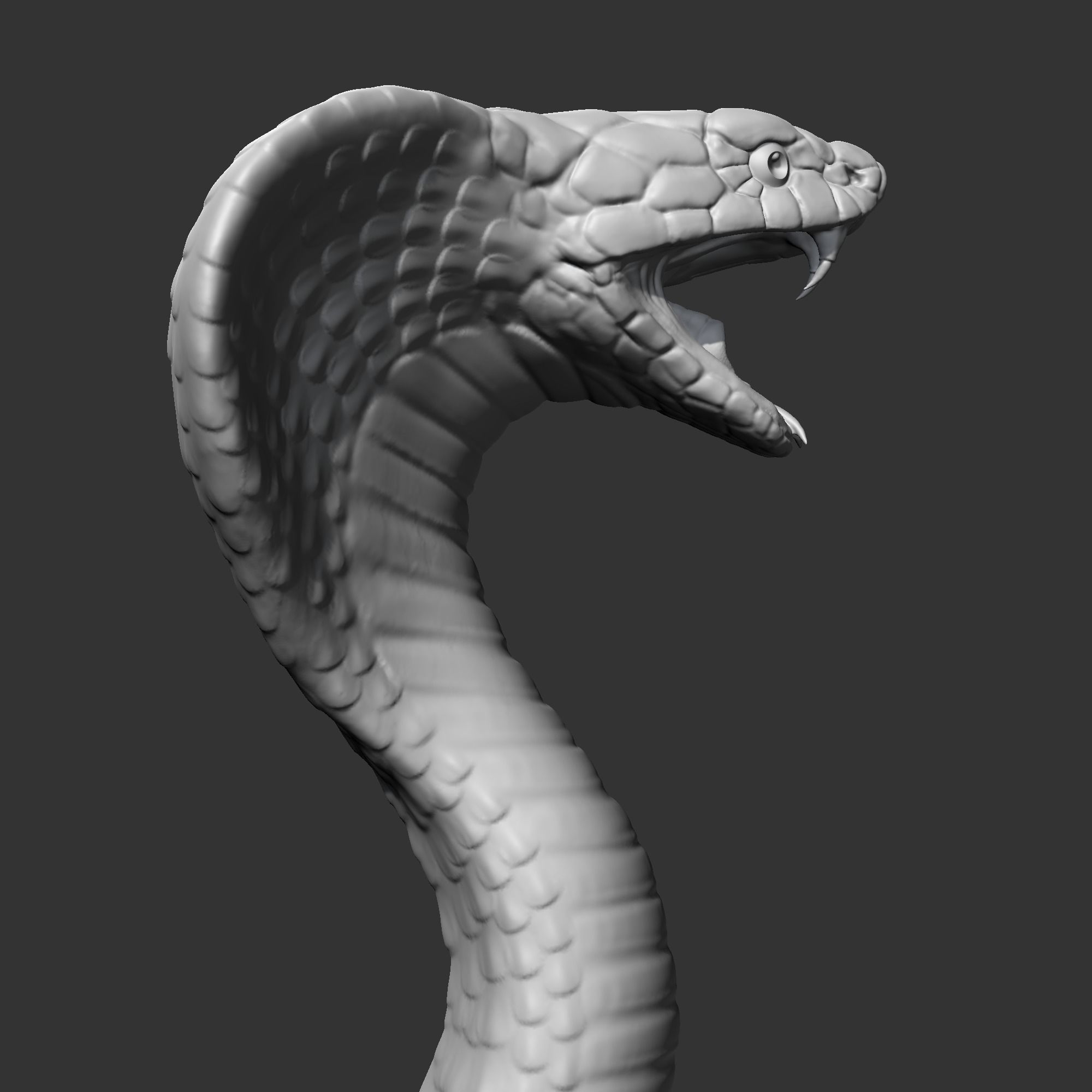 King Cobra Head AM09 3D print model 3D print model_9