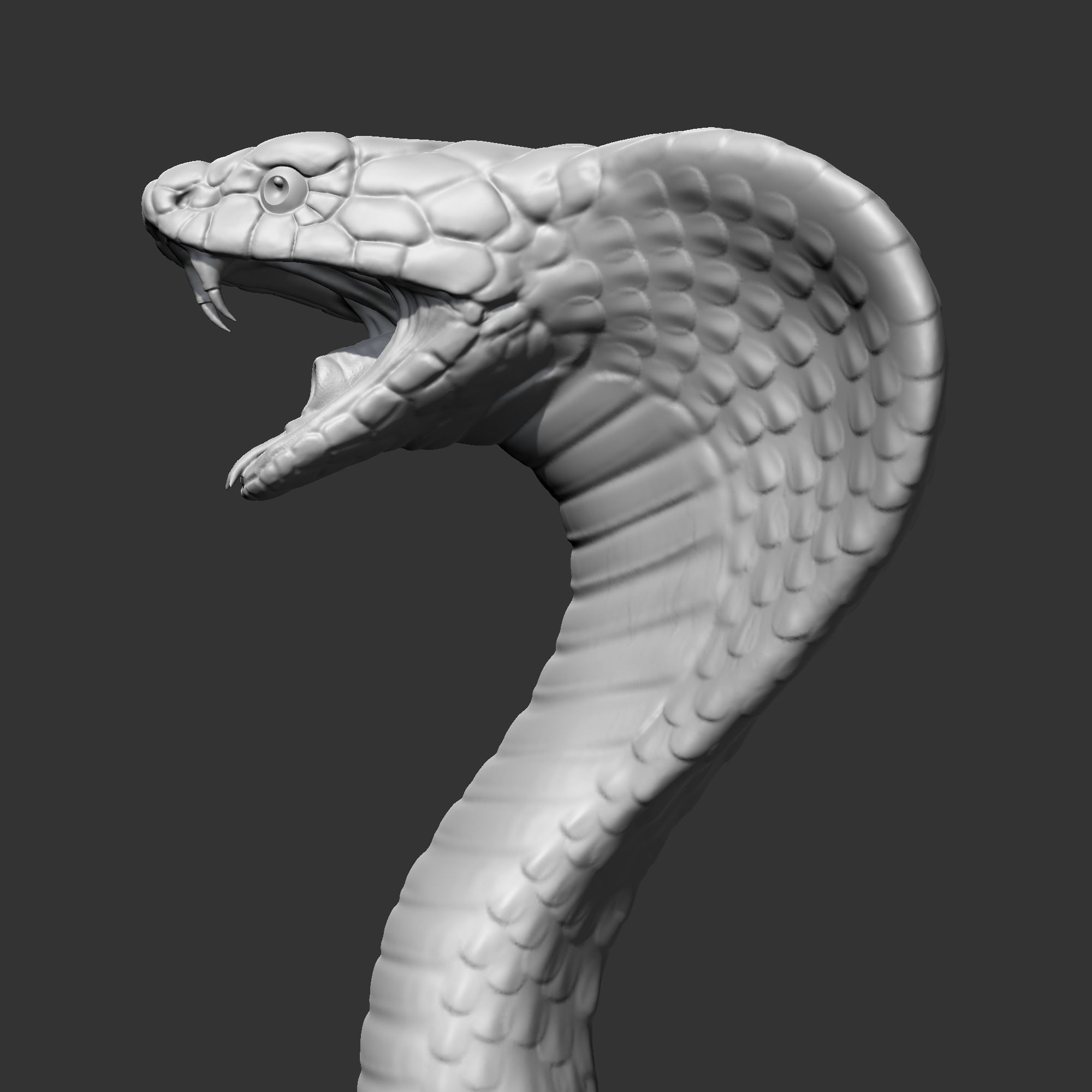 King Cobra Head AM09 3D print model 3D print model_7