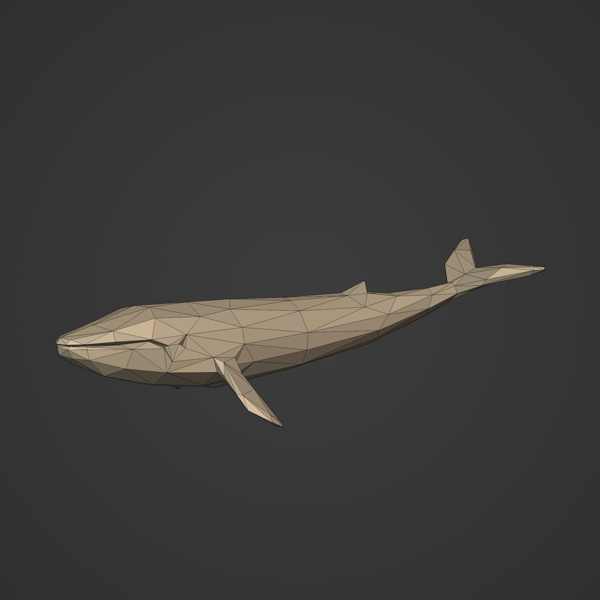LowPoly Sea Animals Pack V1 Low-poly 3D model_25