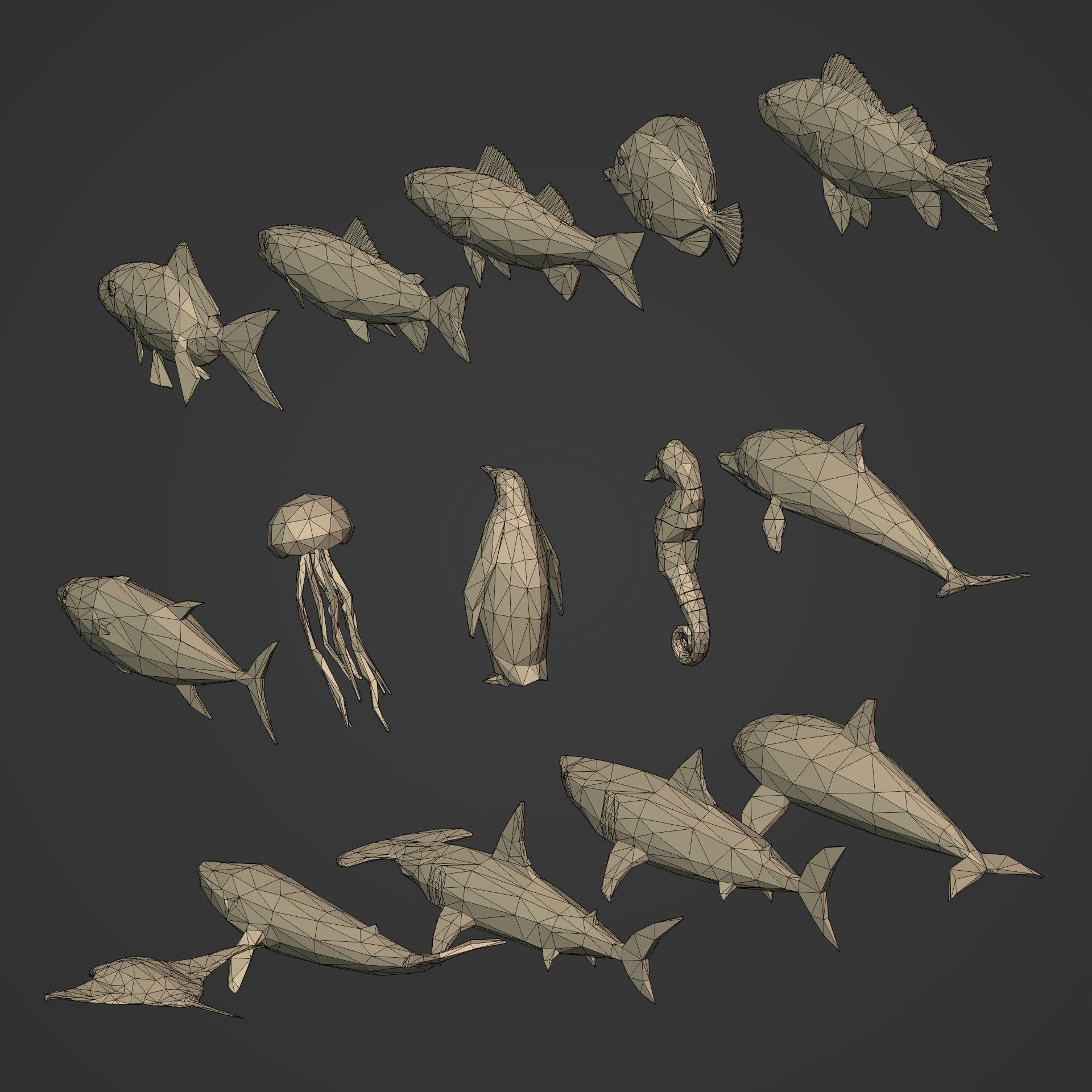 LowPoly Sea Animals Pack V1 Low-poly 3D model_8