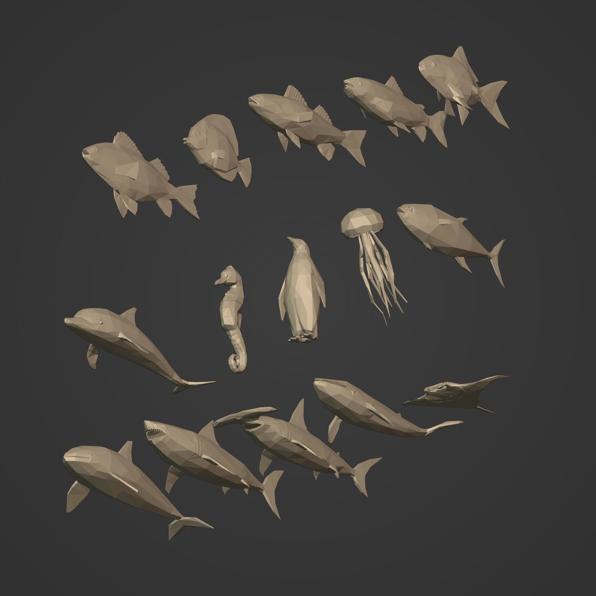 LowPoly Sea Animals Pack V1 Low-poly 3D model_9