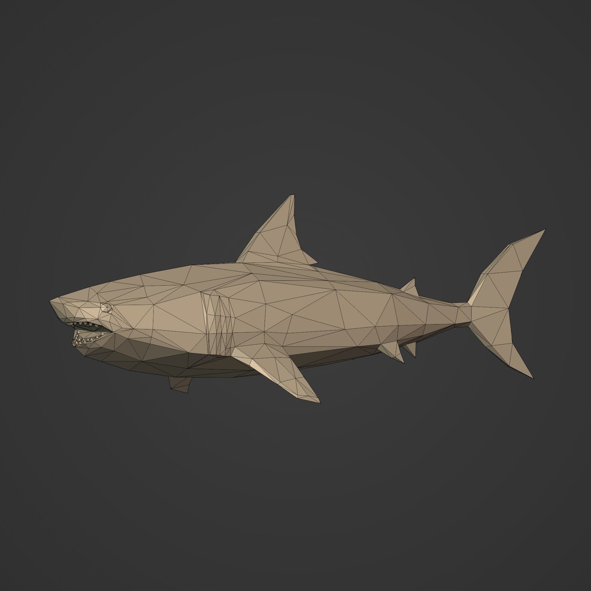 LowPoly Sea Animals Pack V1 Low-poly 3D model_23
