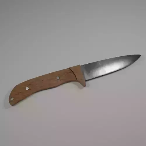 Kitchen knife