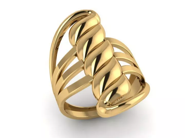 Rings 3D print model_0