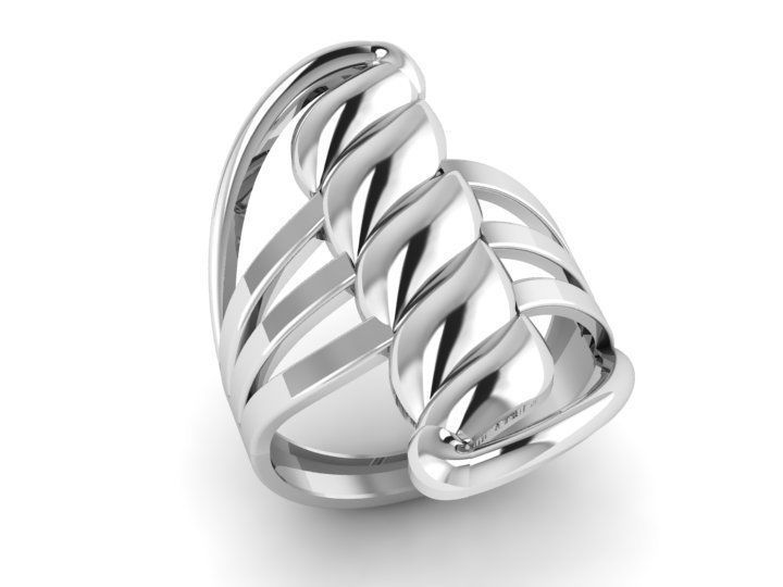 Rings 3D print model_1