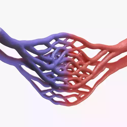 Blood Vessel Cross Section 3D model