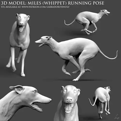 Miles Whippet Running Pose 3D print model