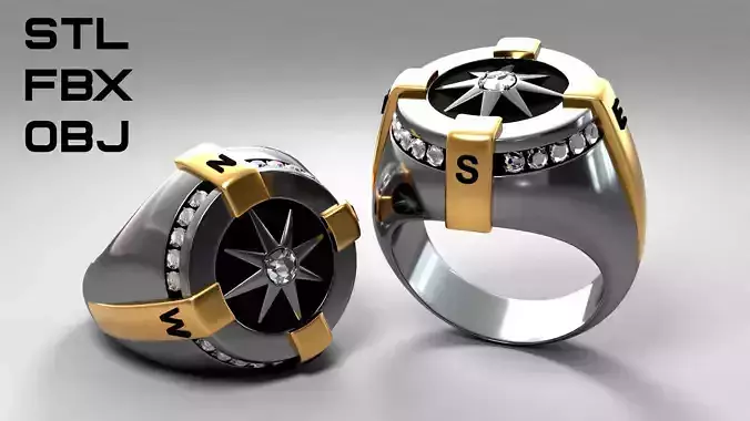 Compass ring 3D