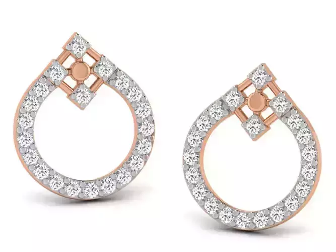 Women studs earrings 3dm render detail