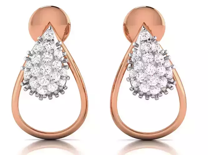 Women studs earrings 3dm render detail