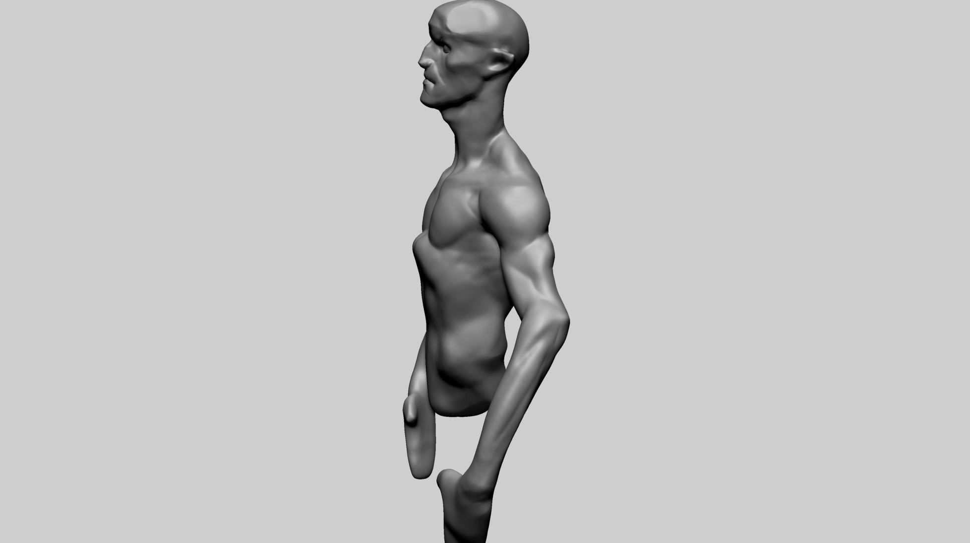 Stylized Creature Upper Body A 3D model_5