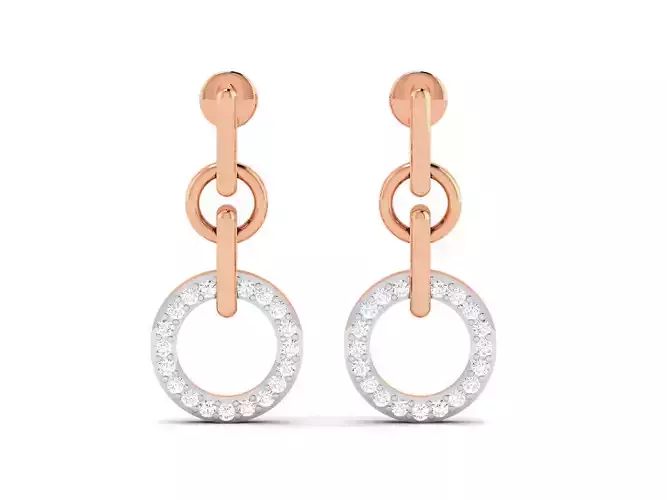 Women drop earrings 3dm render detail