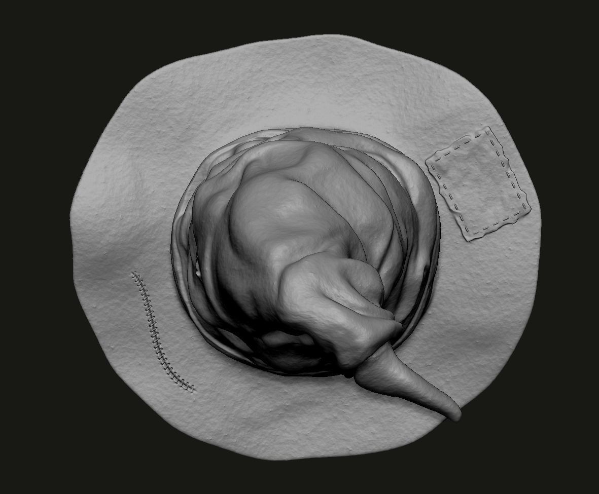 Hogwarts hat 3D print model_4