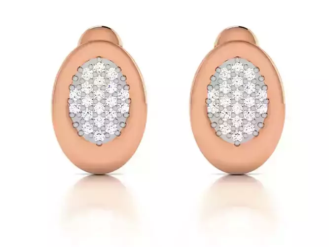 Women studs earrings 3dm render detail