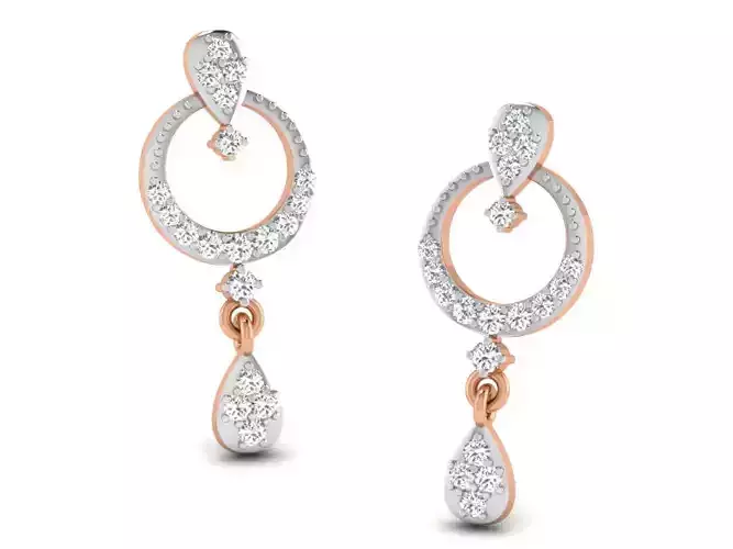 Women drop earrings 3dm render detail